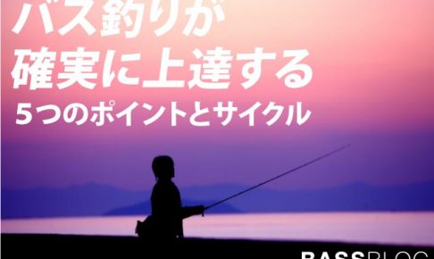 バス釣り上達方法 バス釣りが確実に上達する５つのポイントとサイクル Bassblog バスブログ