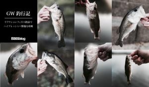 「GWバス釣り釣行記」ハイプレッシャーの小規模野池を「リアクションフィネス釣法」で攻略してきた。