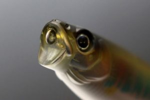 一誠「GCワカペン90」水面で不規則にもじる小魚のアクションを簡単に演出できるペンシルベイト！