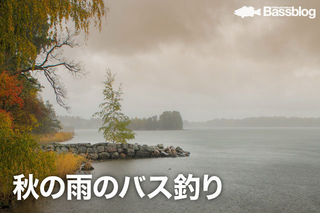 秋の雨でのバス釣り