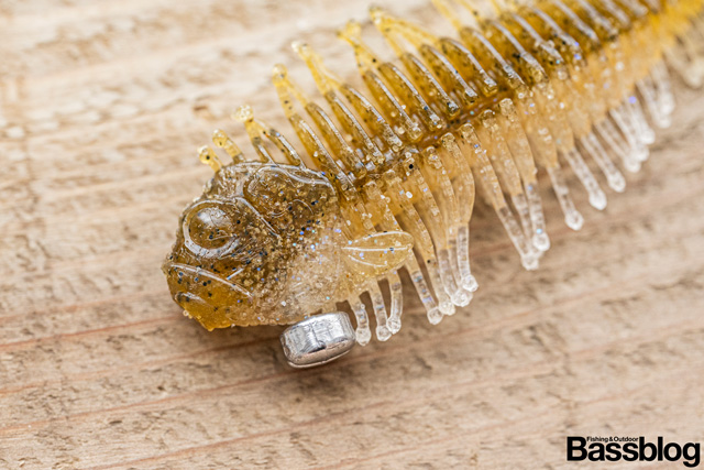 ギーラカンスのコイルシンカーのお魚セッティング
