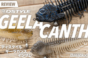 ディスタイル「ギーラカンス」インプレ。お魚セッティングとフリーリグの使い方を解説！