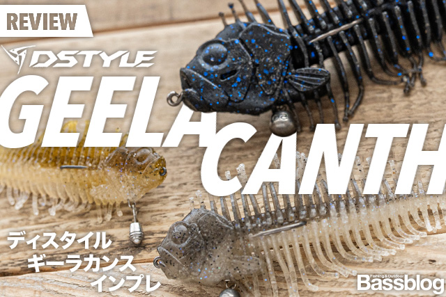 ディスタイル「ギーラカンス」インプレ。お魚セッティングとフリーリグの使い方を解説！
