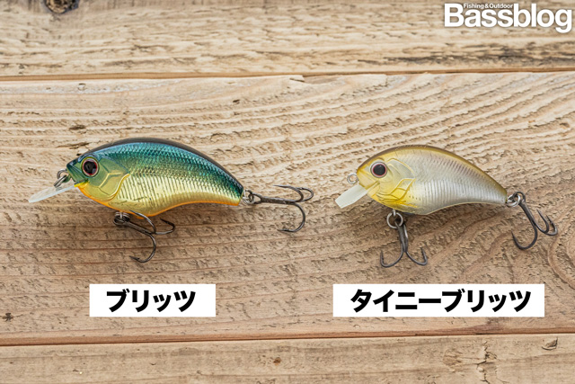 ブリッツとタイニーブリッツ