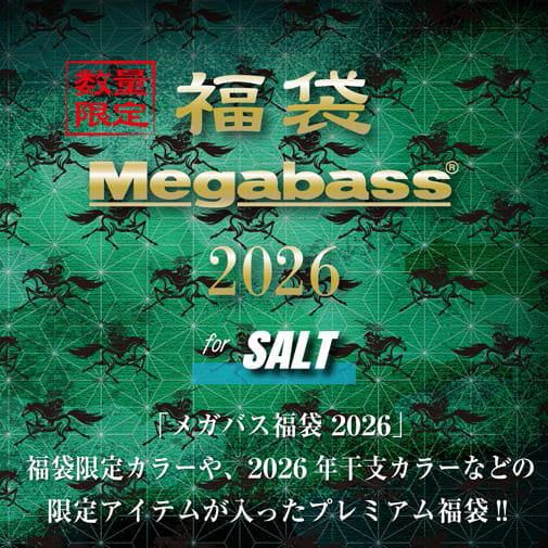 メガバス2026福袋 for SALT