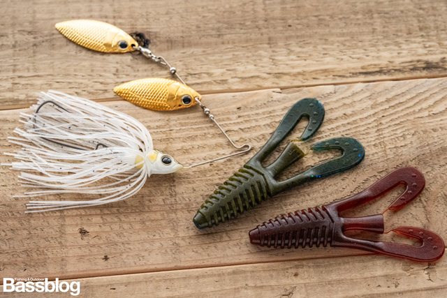 グライドヘッドスピナーベイトとバルビュータ