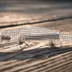 ダイワ「Dジャークベイト」の特徴と使い方を解説。ベイトフィッシュの明滅を再現したレーザーインパクト搭載