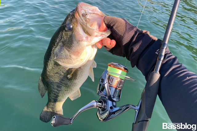 26ナスキーのパワーフィネスで釣った50cmクラスのバス。