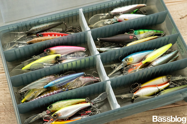 著者のパブロシャッドたち