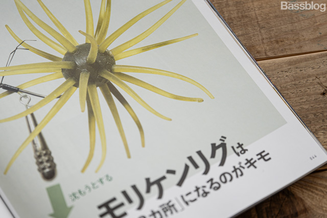 森田健太郎さんによるコイケの解説記事