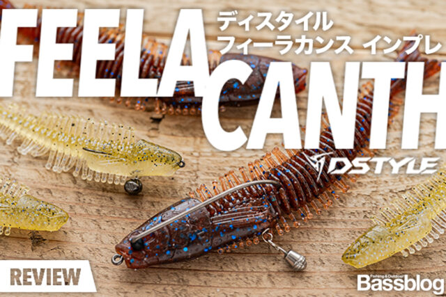ディスタイル「フィーラカンス」インプレ。お魚セッティングやリグ、使い方を徹底解説！