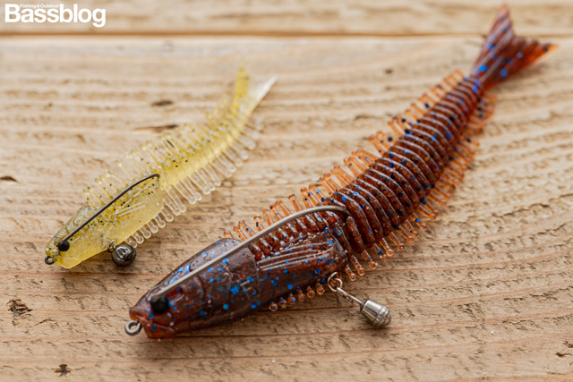 フィーラカンスのお魚セッティング
