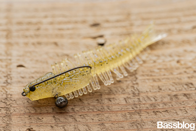 フィーラカンス2.5インチのお魚セッティング