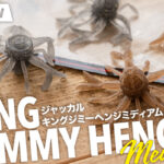 【実物インプレ】キングジミーヘンジミディアムの使い方とセッティング、タックルまで徹底解説。